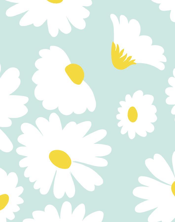 'Pop Daisy' Wallpaper by Wallshoppe - Seafoam