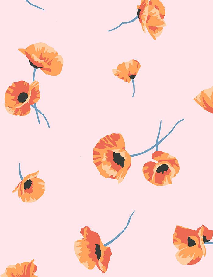 'Poppy' Wallpaper by Nathan Turner - Blush