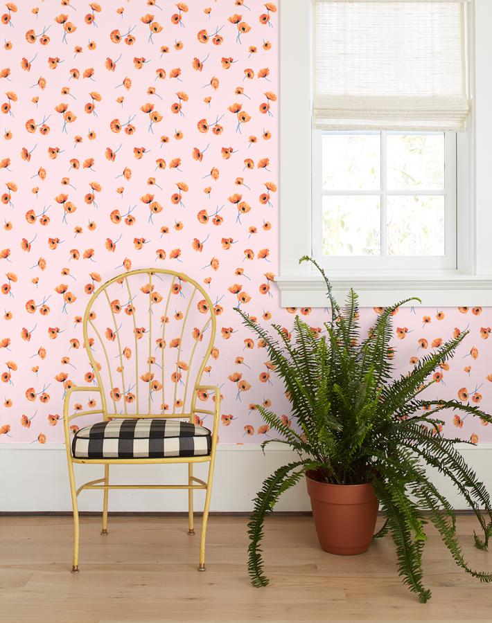 Nathan Turner Orange Crush Removable Wallpaper White  WallShoppe Mirrors   Wall Decor  Maisonette