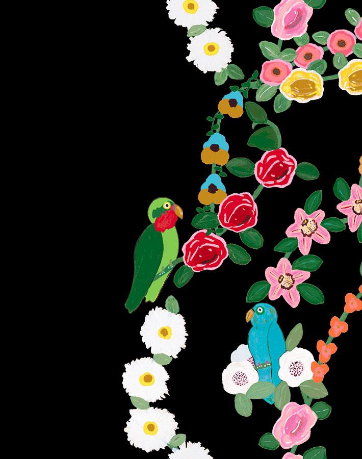 rainbow-garden-stripe-black-wallpaper-by-carly-beck