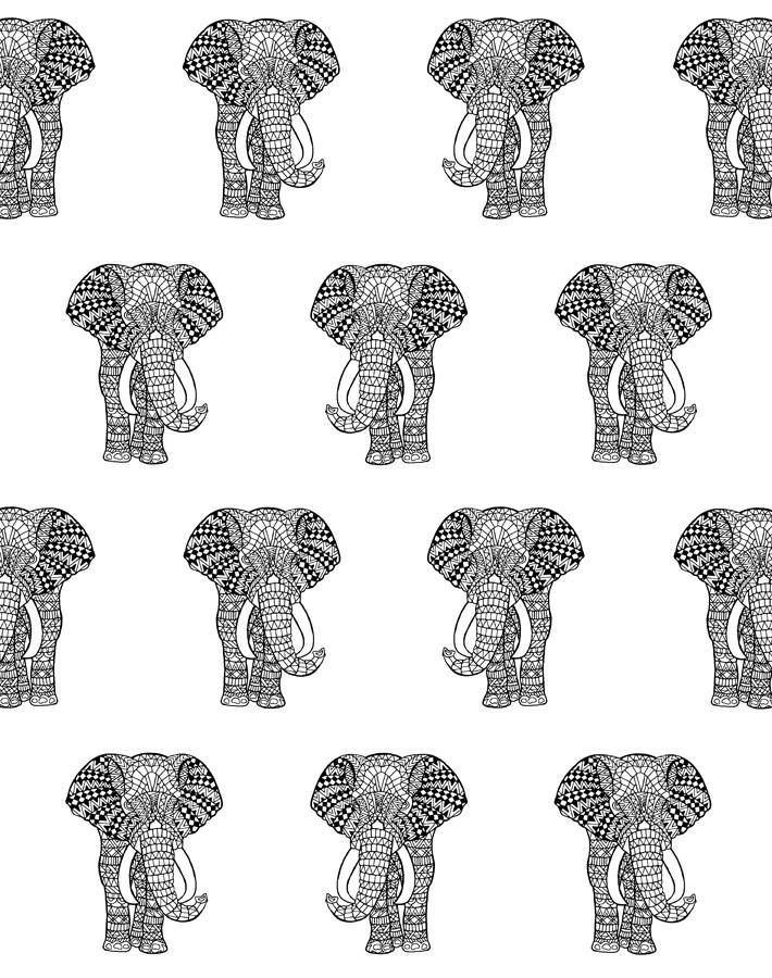 raja the elephant onyx