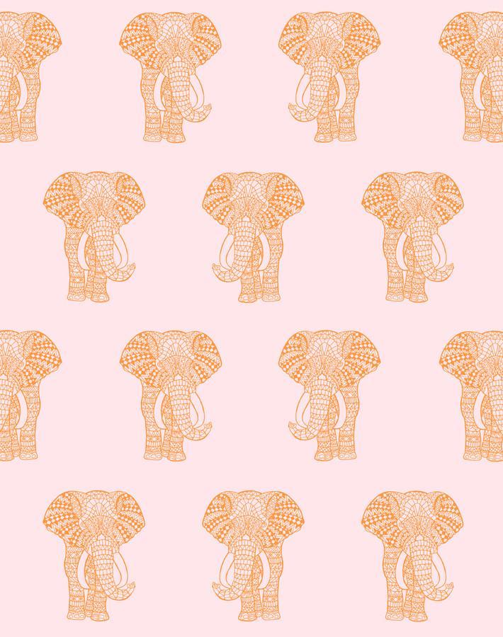 raja-the-elephant-pink