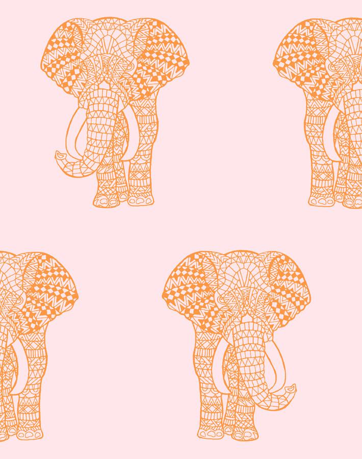 raja-the-elephant-pink