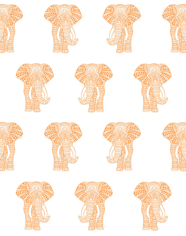 raja the elephant pushpop