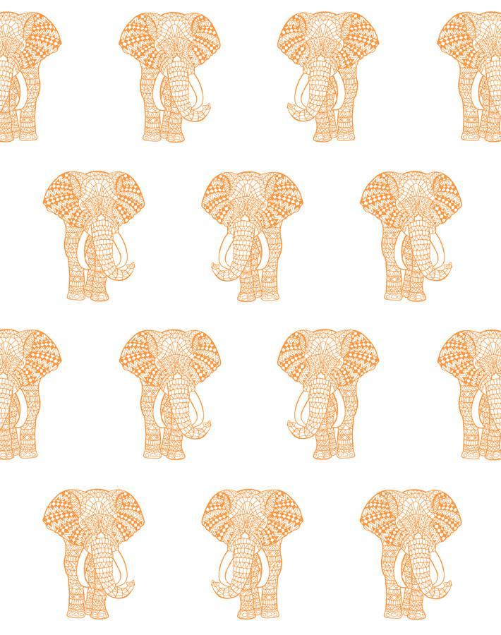 raja the elephant pushpop