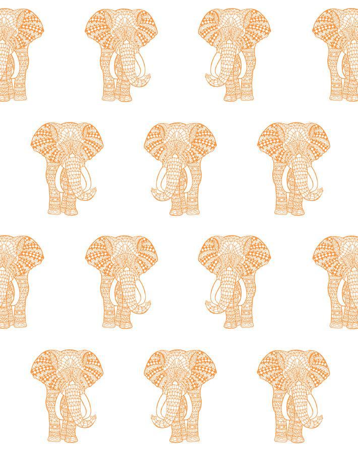 'Raja The Elephant' Wallpaper by Wallshoppe - Pushpop