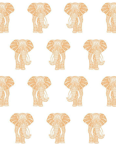 raja the elephant pushpop