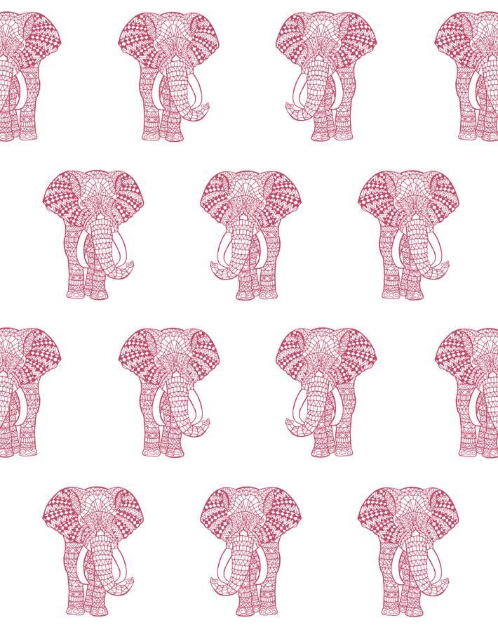 raja the elephant rose