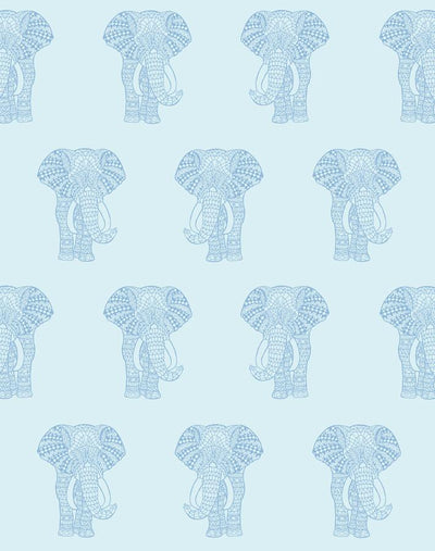 raja the elephant sky