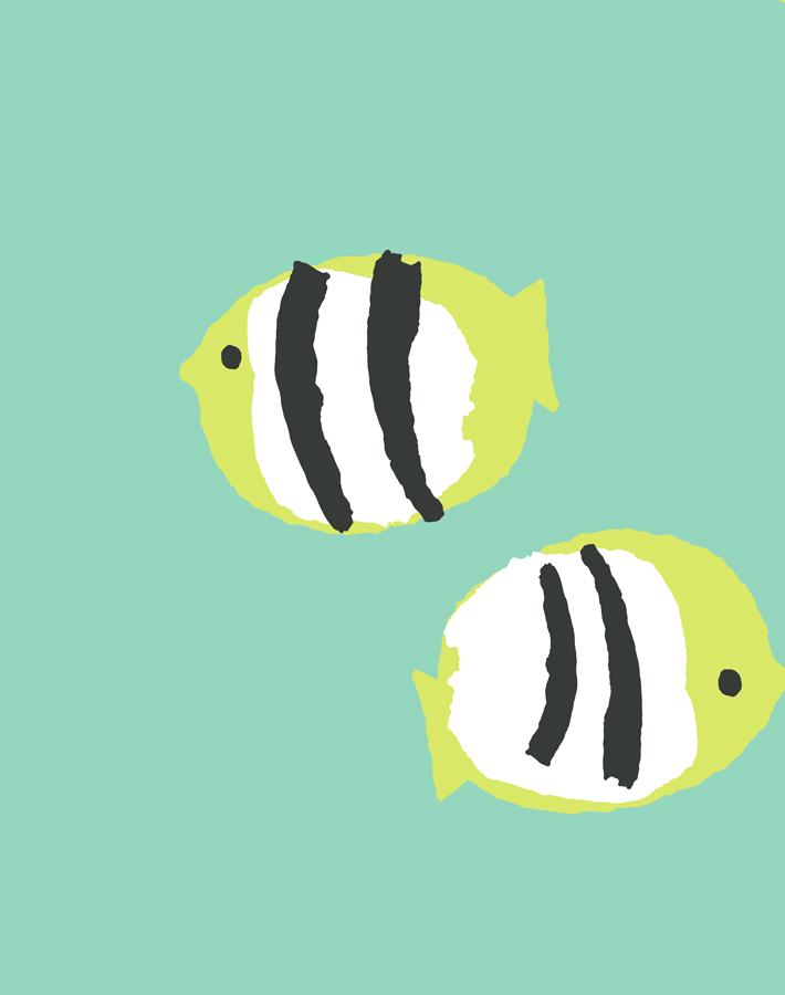 rosa-fish-caribbean