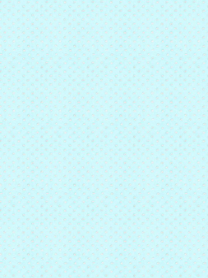 dotted-swiss-wallpaper-by-sarah-jessica-parker-sky