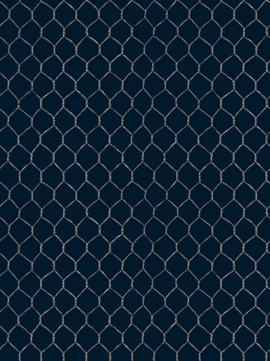 'Evelyn's Chicken Wire' Wallpaper by Sarah Jessica Parker - Metal on Navy