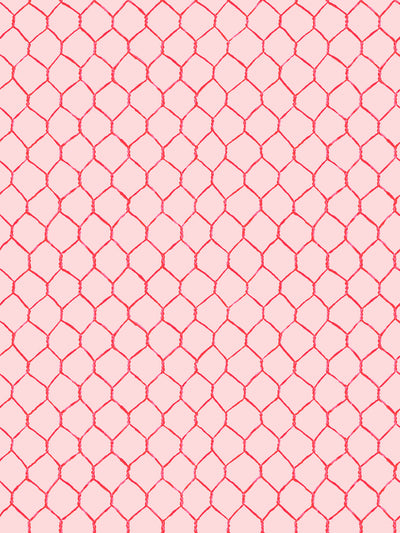 'Evelyn's Chicken Wire' Wallpaper by Sarah Jessica Parker - Punch on Pink