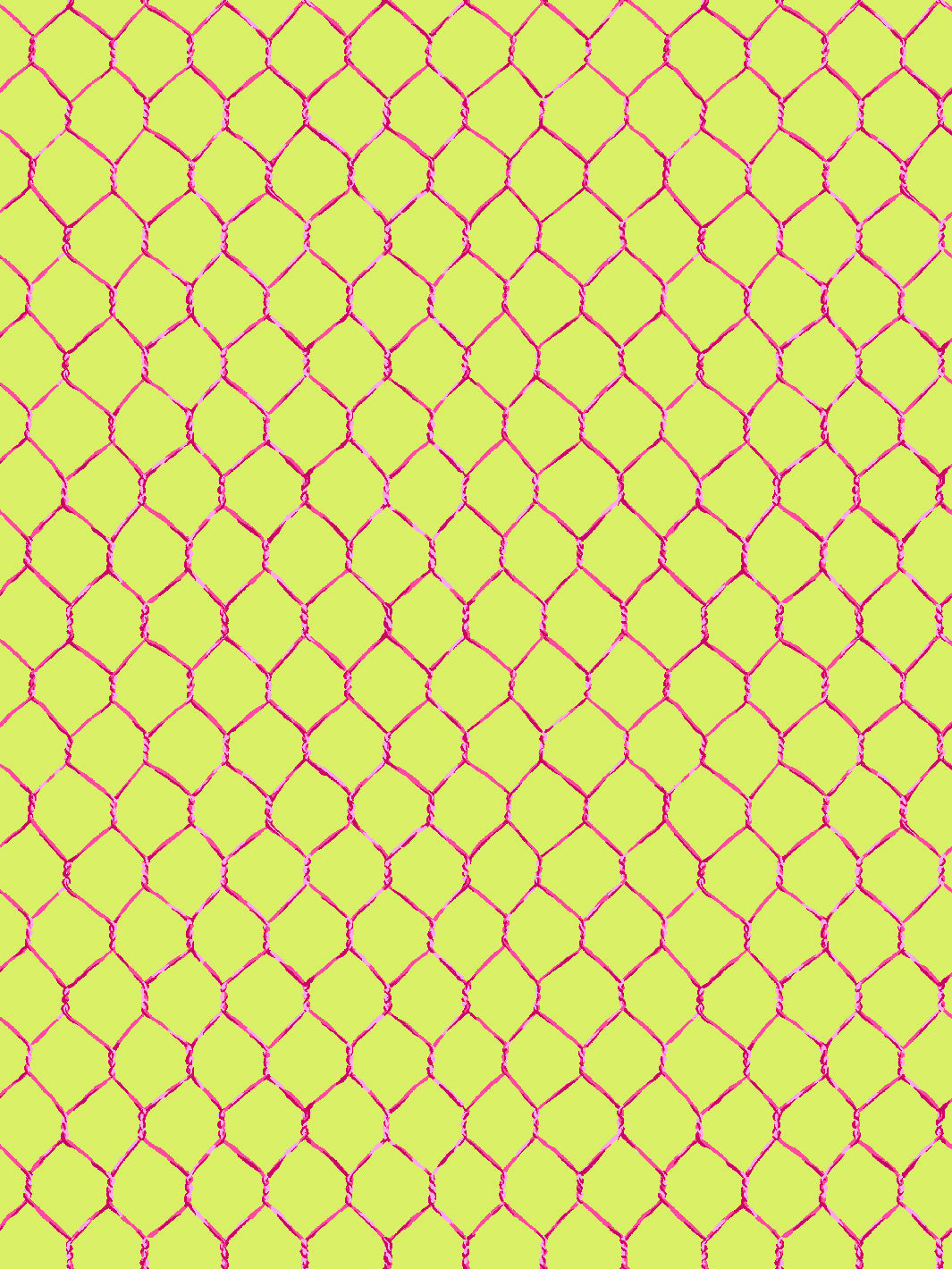 evelyns chicken wire wallpaper by sarah jessica parker raspberry on citron