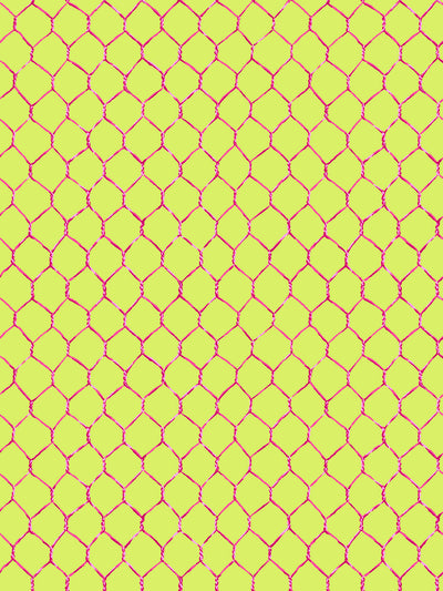 evelyns chicken wire wallpaper by sarah jessica parker raspberry on citron