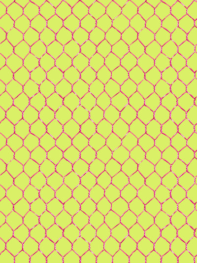 'Evelyn's Chicken Wire' Wallpaper by Sarah Jessica Parker - Raspberry on Citron