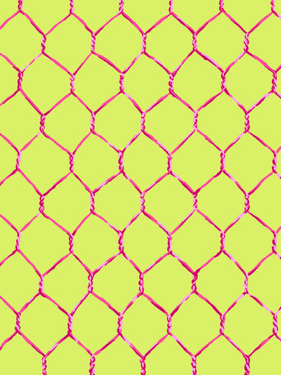 evelyns chicken wire wallpaper by sarah jessica parker raspberry on citron
