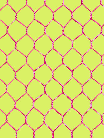 'Evelyn's Chicken Wire' Wallpaper by Sarah Jessica Parker - Raspberry on Citron