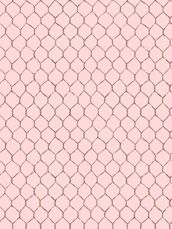 evelyns-chicken-wire-wallpaper-by-sarah-jessica-parker-sable-on-pink