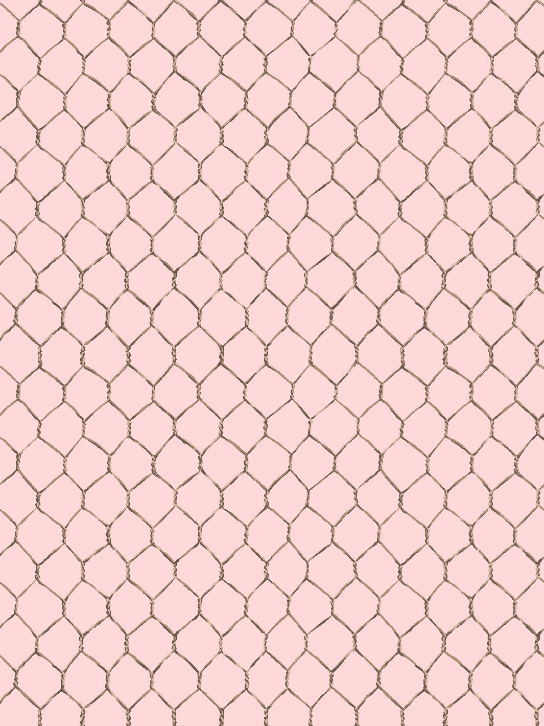 'Evelyn's Chicken Wire' Wallpaper by Sarah Jessica Parker - Sable on Pink
