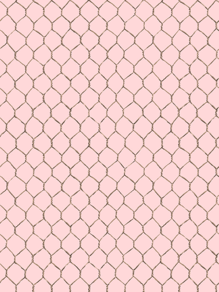 'Evelyn's Chicken Wire' Wallpaper by Sarah Jessica Parker - Sable on Pink