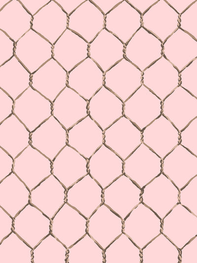 'Evelyn's Chicken Wire' Wallpaper by Sarah Jessica Parker - Sable on Pink