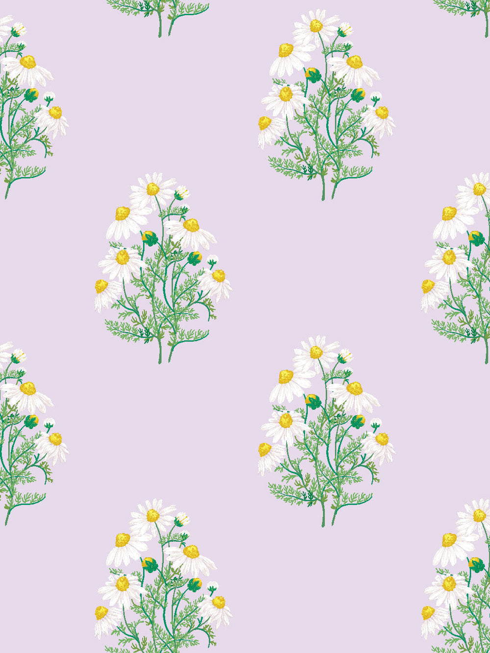 fleur-de-camomille-wallpaper-by-sarah-jessica-parker-lavender