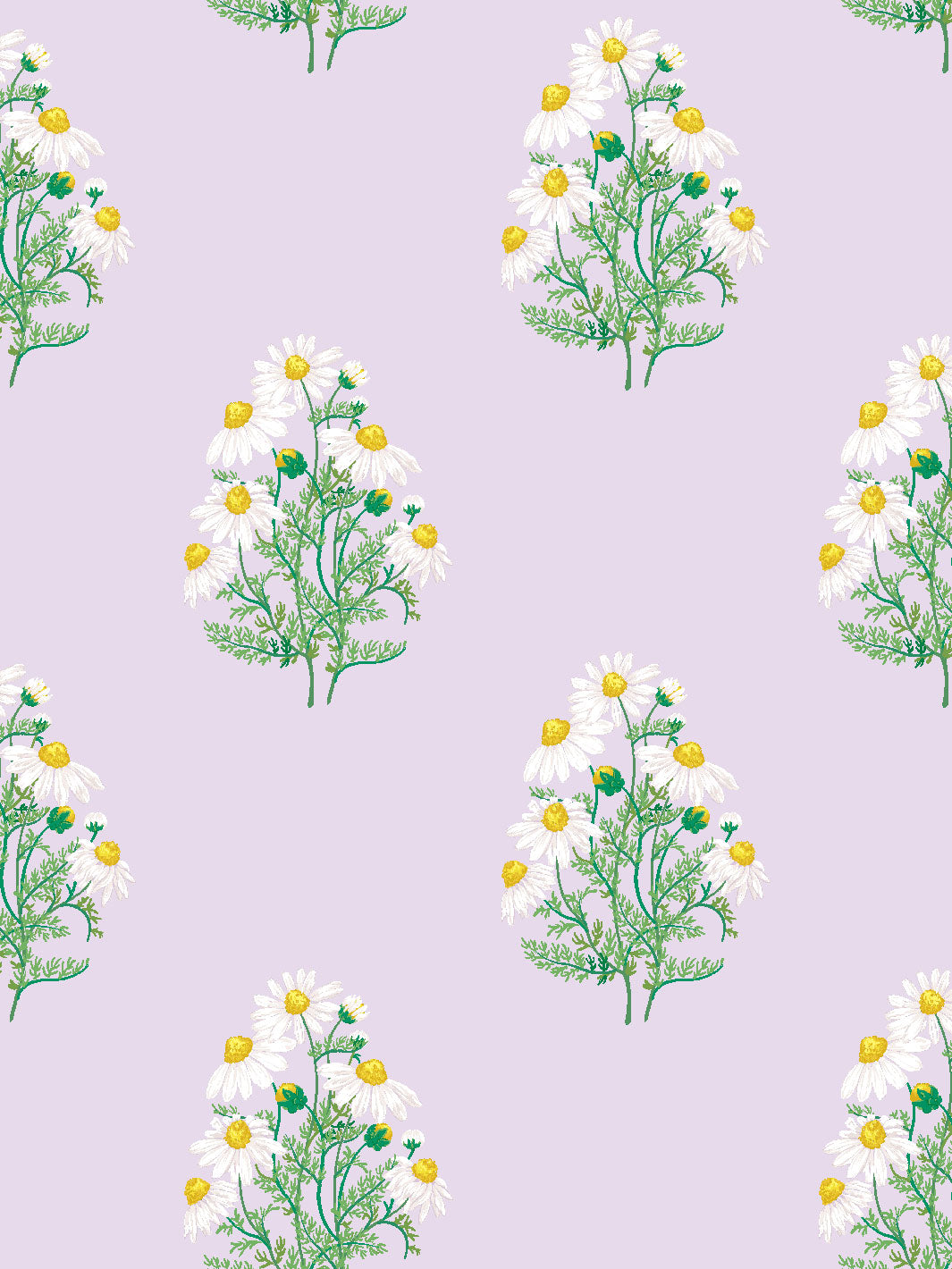 'Fleur De Camomille' Wallpaper by Sarah Jessica Parker - Lavender