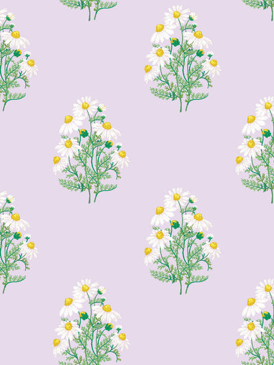 'Fleur De Camomille' Wallpaper by Sarah Jessica Parker - Lavender