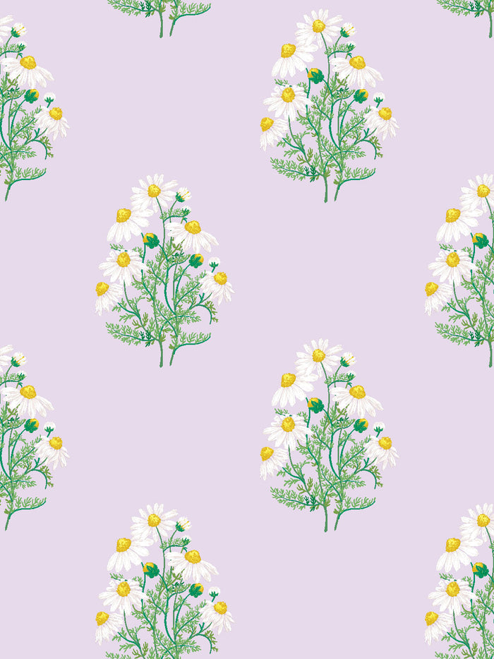 'Fleur De Camomille' Wallpaper by Sarah Jessica Parker - Lavender