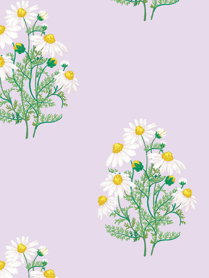 fleur-de-camomille-wallpaper-by-sarah-jessica-parker-lavender