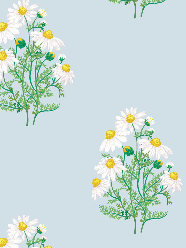 fleur-de-camomille-wallpaper-by-sarah-jessica-parker-misty-blue