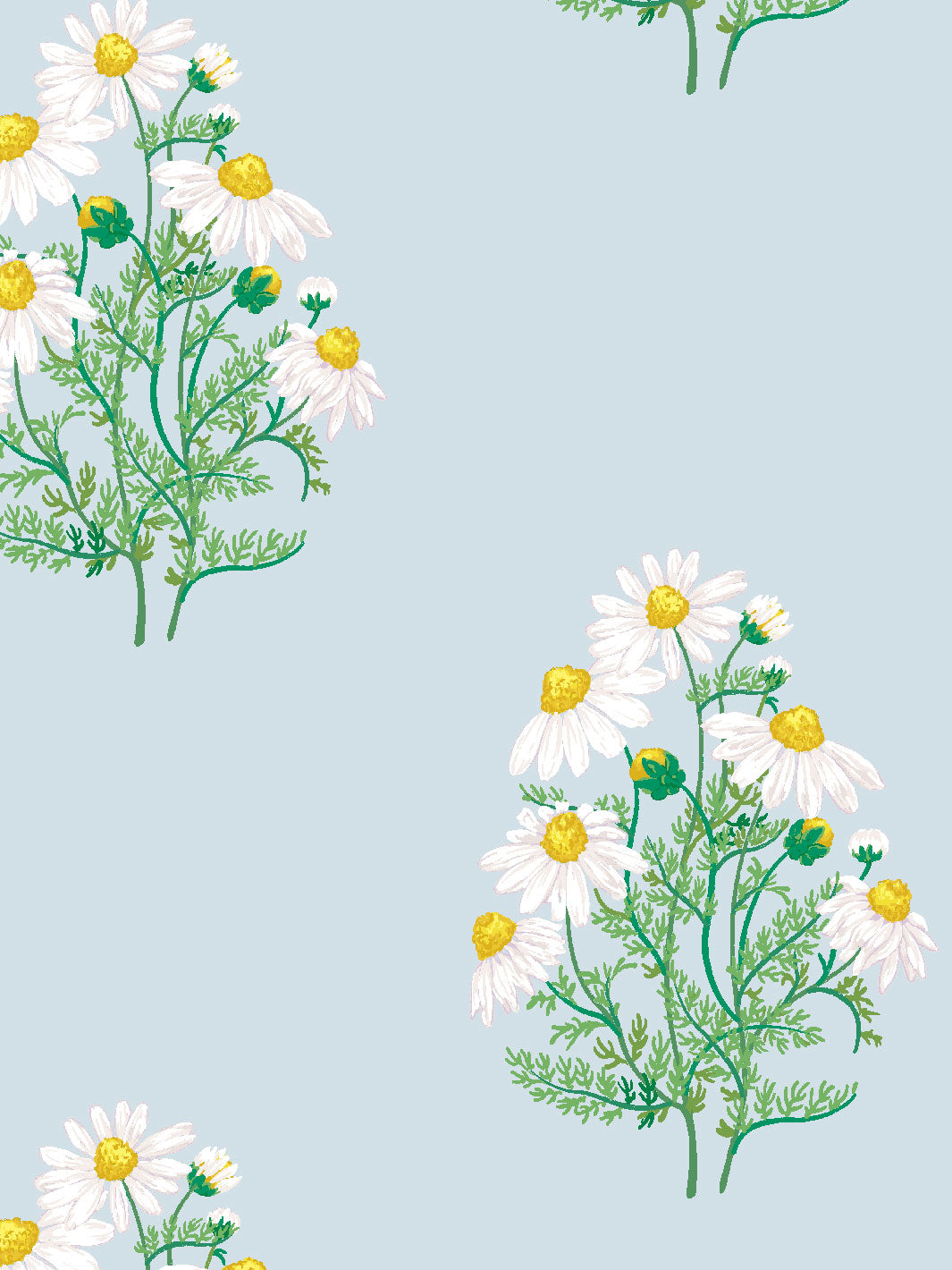 'Fleur De Camomille' Wallpaper by Sarah Jessica Parker - Misty Blue