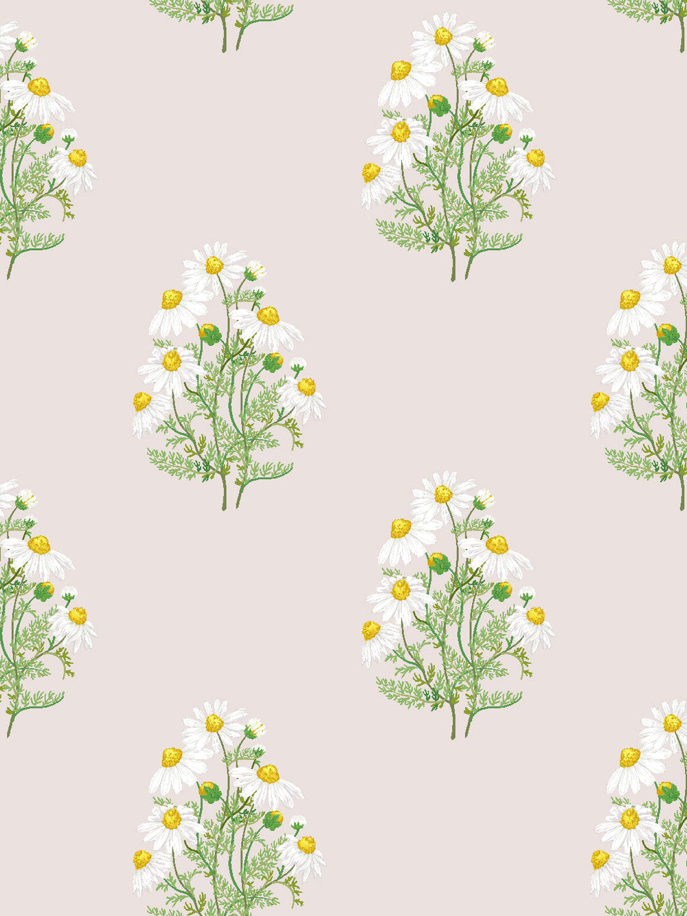 fleur-de-camomille-wallpaper-by-sarah-jessica-parker-oyster