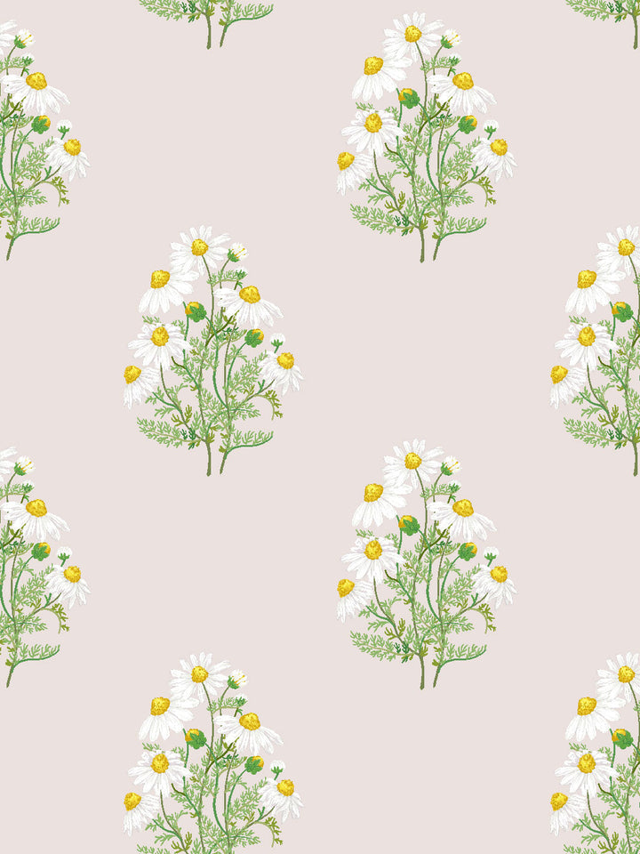 fleur-de-camomille-wallpaper-by-sarah-jessica-parker-oyster