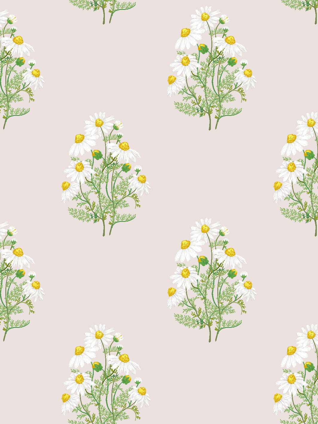 'Fleur De Camomille' Wallpaper by Sarah Jessica Parker - Oyster