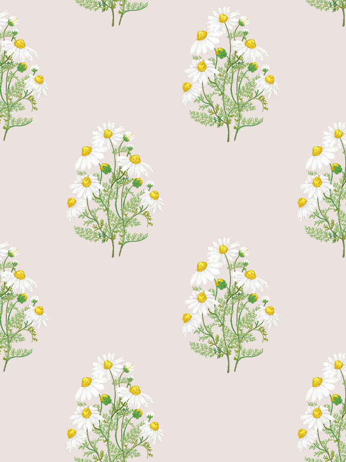 'Fleur De Camomille' Wallpaper by Sarah Jessica Parker - Oyster