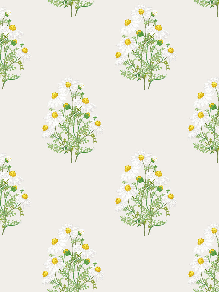 fleur-de-camomille-wallpaper-by-sarah-jessica-parker-parchment