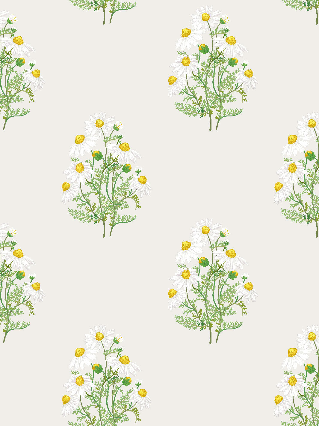 'Fleur De Camomille' Wallpaper by Sarah Jessica Parker - Parchment