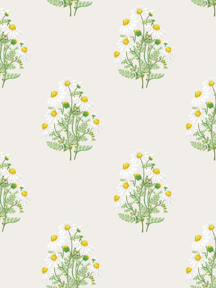 'Fleur De Camomille' Wallpaper by Sarah Jessica Parker - Parchment