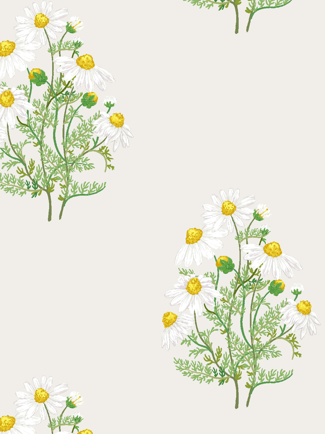 'Fleur De Camomille' Wallpaper by Sarah Jessica Parker - Parchment