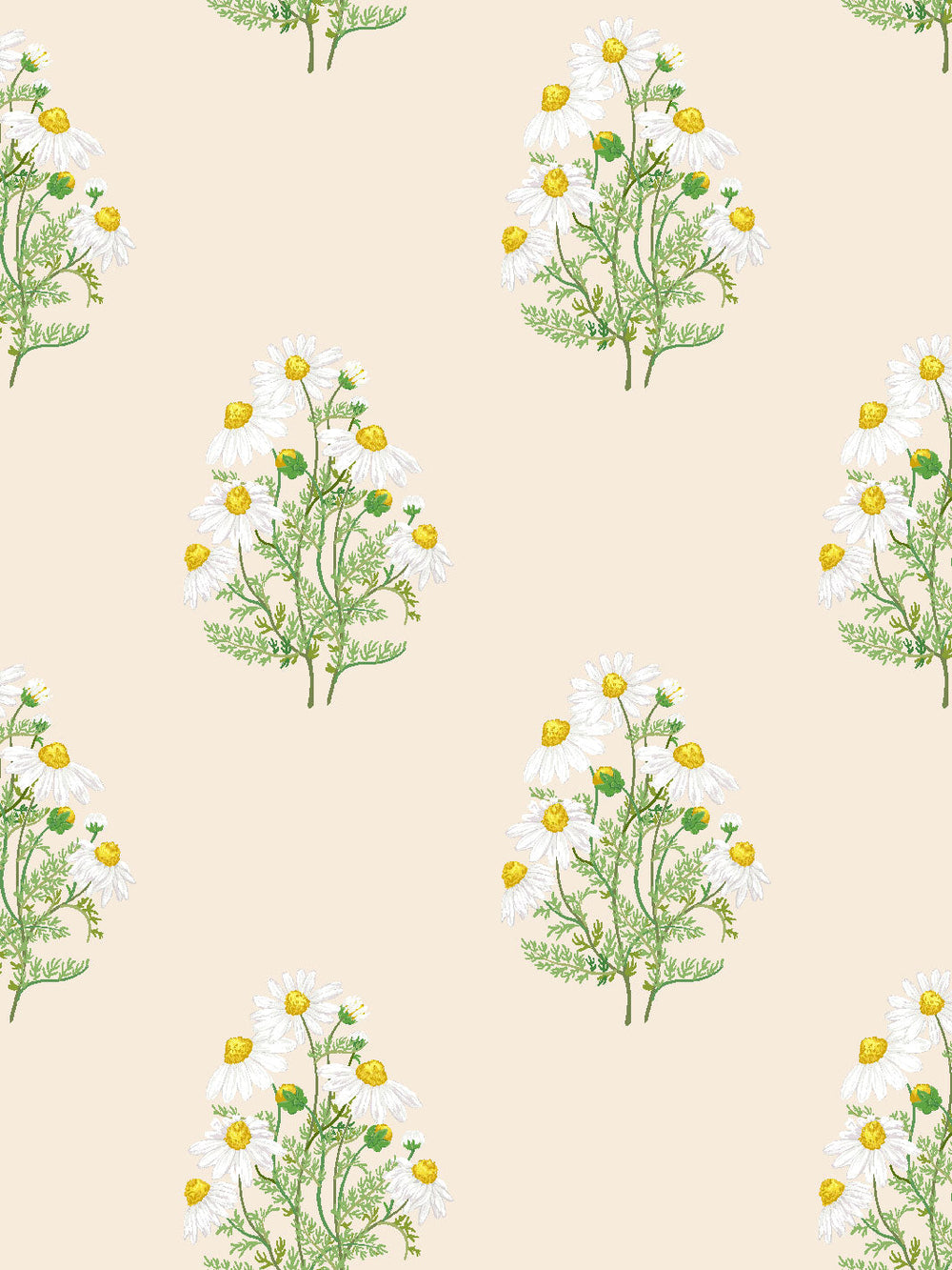 fleur-de-camomille-wallpaper-by-sarah-jessica-parker-pearl