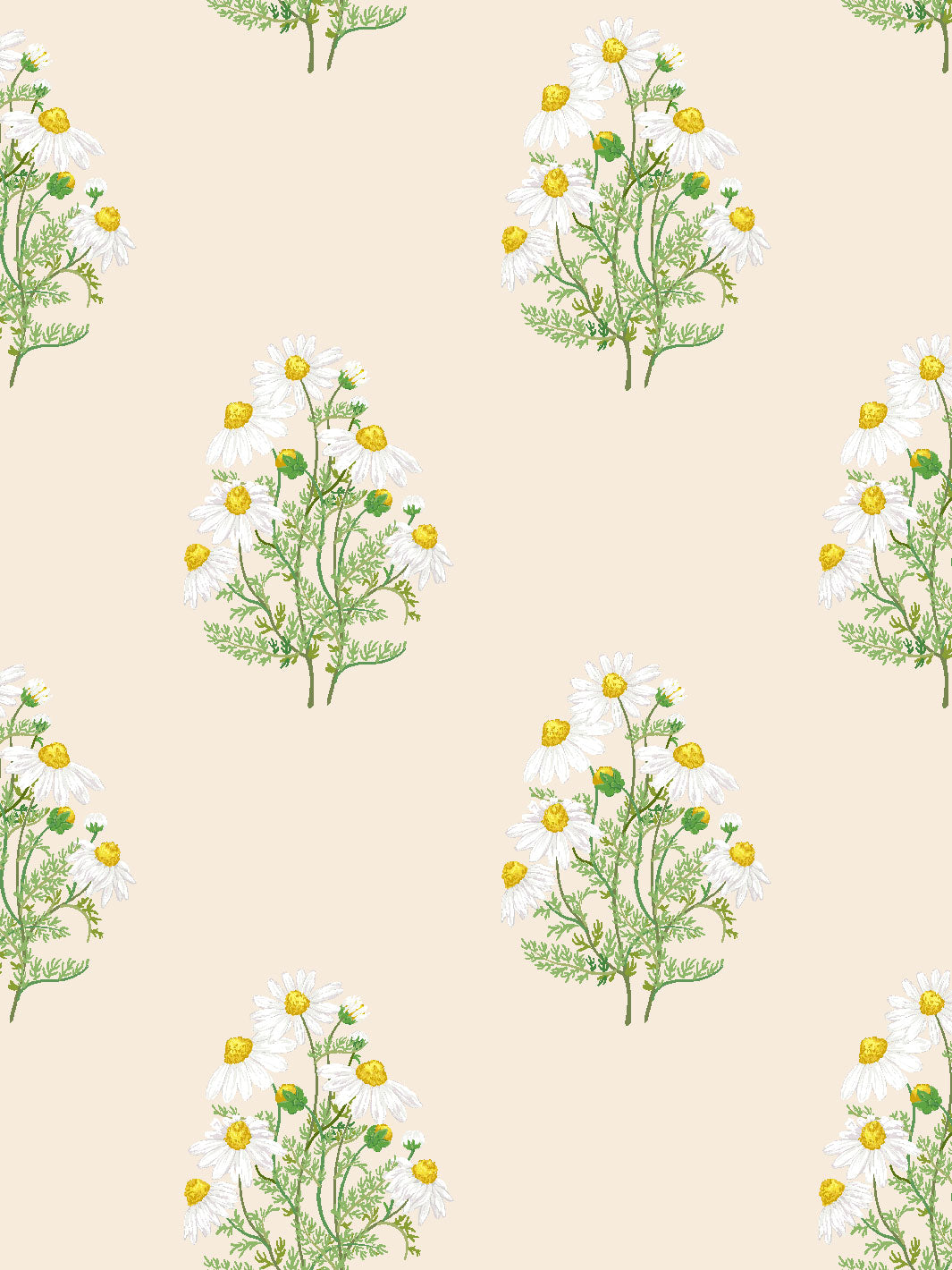 'Fleur De Camomille' Wallpaper by Sarah Jessica Parker - Pearl