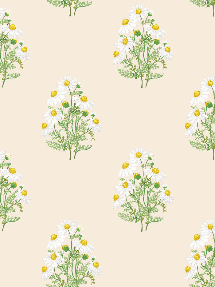 'Fleur De Camomille' Wallpaper by Sarah Jessica Parker - Pearl