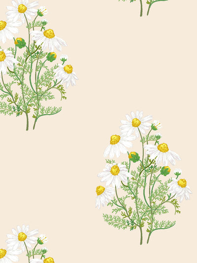 fleur de camomille wallpaper by sarah jessica parker pearl