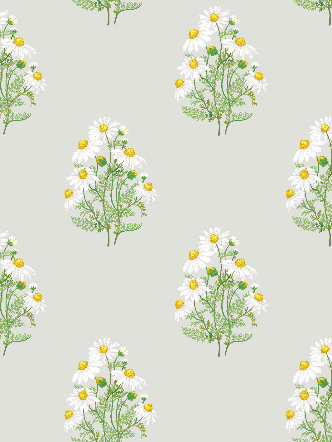 'Fleur De Camomille' Wallpaper by Sarah Jessica Parker - Silver
