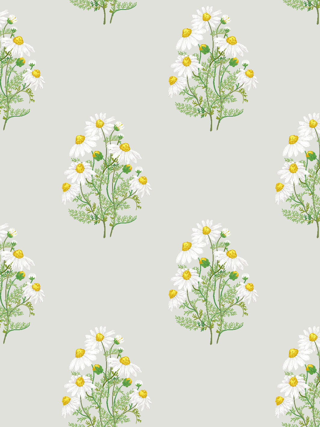 'Fleur De Camomille' Wallpaper by Sarah Jessica Parker - Silver