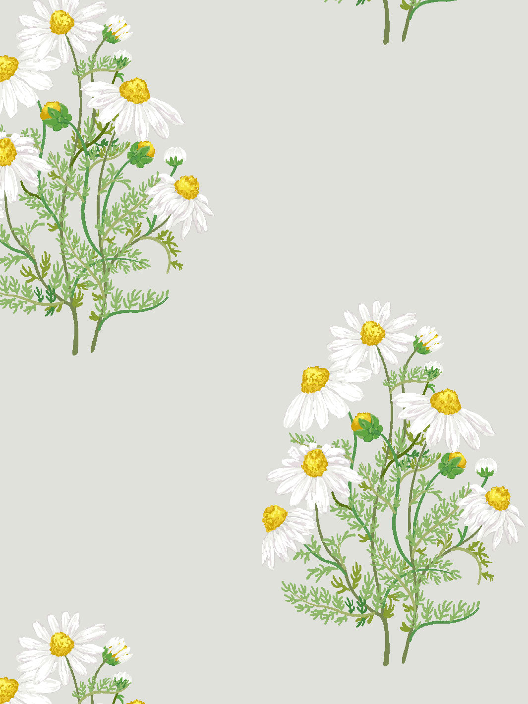 'Fleur De Camomille' Wallpaper by Sarah Jessica Parker - Silver