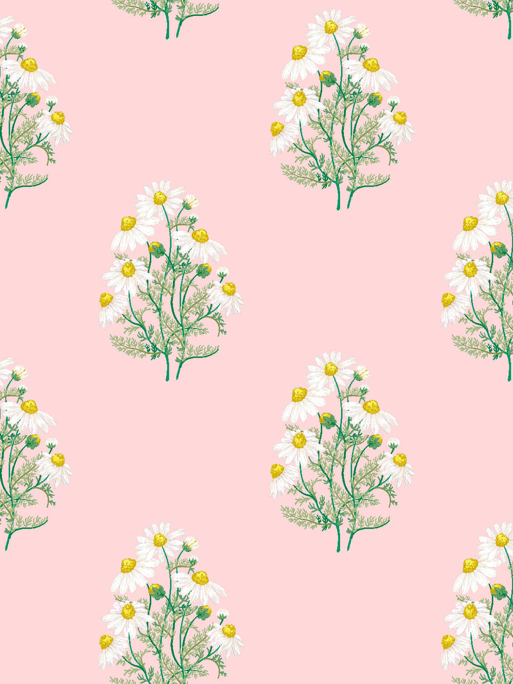 fleur-de-camomille-wallpaper-by-sarah-jessica-parker-slipper