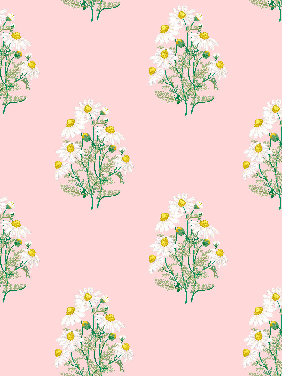 fleur de camomille wallpaper by sarah jessica parker slipper